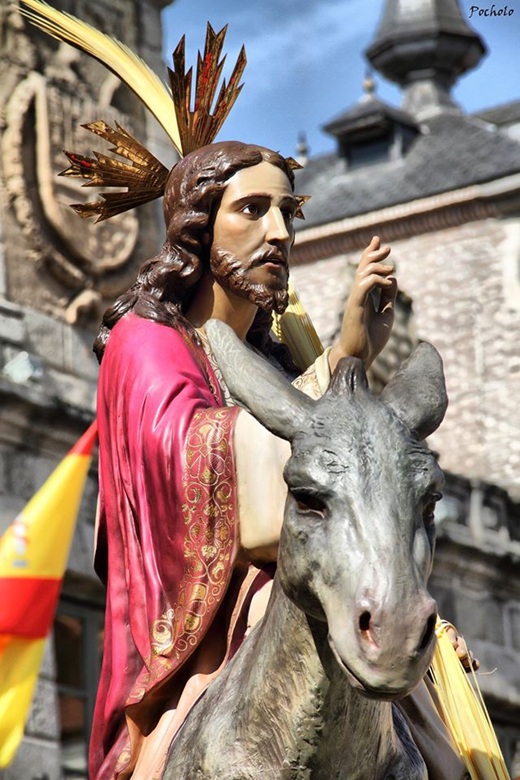 La Borriquilla y el Cristo del Amor recorrerán Medina del Campo